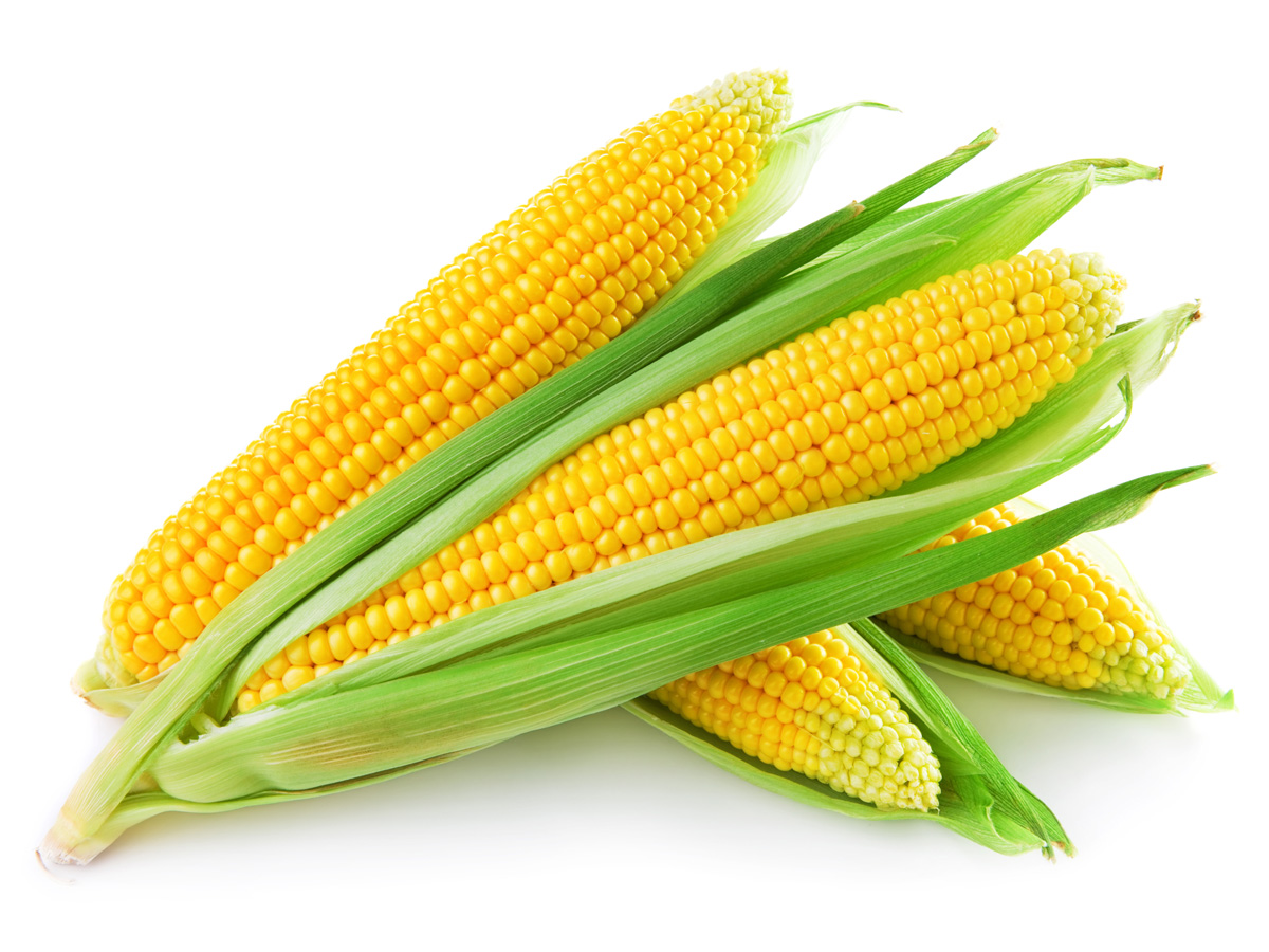 American Sweet Corn (अमेरिकन भुट्टा)